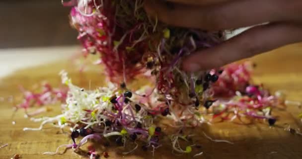 Bunte Hülsenfrüchte sprießen Dolly in italienischen Holztisch — Stockvideo
