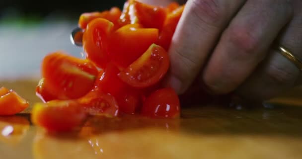 La mano del agricultor experto tomar algunos tomates con las manos para comprobar la calidad en romántica super slow motion extrema — Vídeo de stock