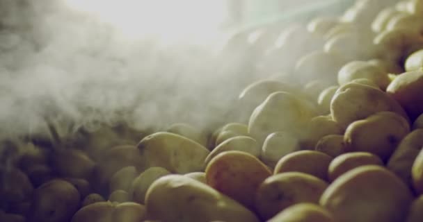 Lots of italian healthy potatoes — Stockvideo