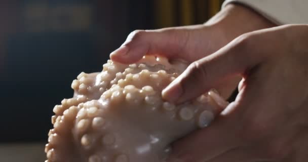 Τα χέρια ενός επαγγελματία εκπαιδευμένου σεφ που κρατά ένα νεαρό χταπόδι που μαγειρεύεται στη μέση των πιο τυπικών ιταλικών γεύσεων — Αρχείο Βίντεο