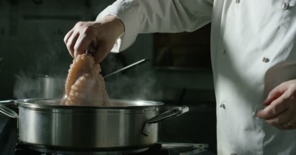 Tenedor de un chef profesional entrenado sosteniendo un pulpo joven que se cocina en medio de los sabores italianos más típicos — Vídeos de Stock