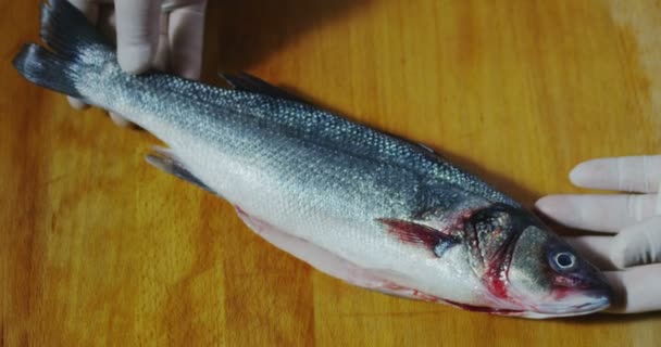Macro gros plan de poisson frais sur une table de cuisine de restaurant en bois (gros plan ) — Video