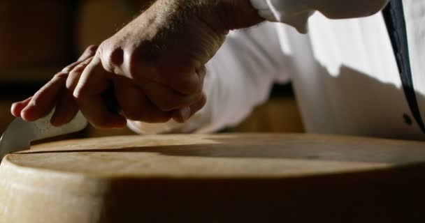 Movimento super lento do fabricante de queijo de meia idade corta a roda de queijo parmesão italiano / Parmigiano Reggiano para controle de qualidade — Vídeo de Stock