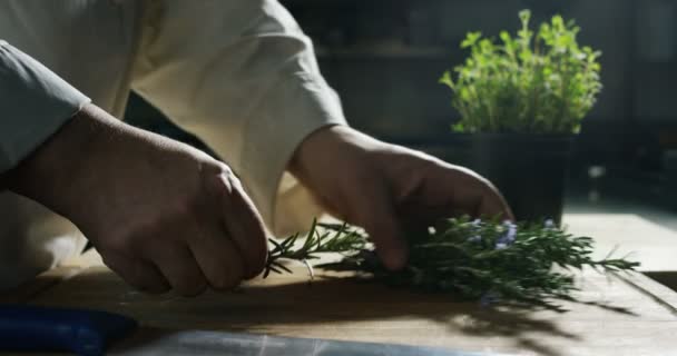 Koch Koch Experte reinigt einen kleinen Zweig Rosmarin und würzt dann Gerichte — Stockvideo