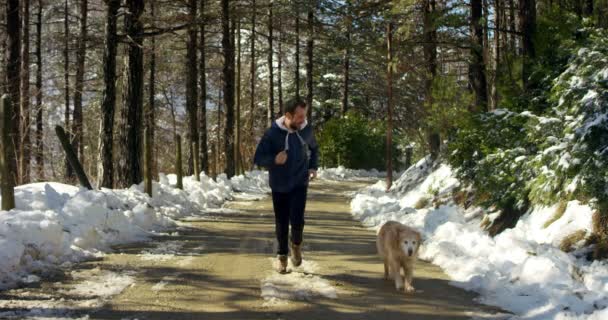 Seorang pria muda dan tampan berjalan di alam dengan anjing peliharaan yang setia — Stok Video