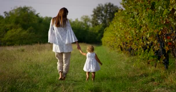 Hermosa niña de unos dos años inmerso en la naturaleza, vestido limpio tratar de hacer — Vídeos de Stock