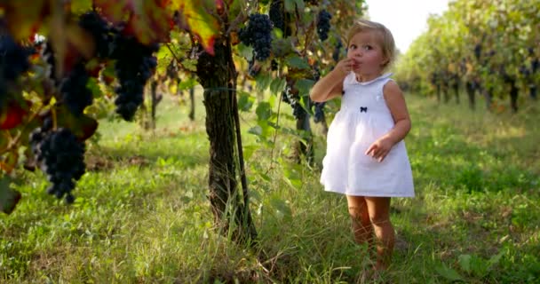 Beautiful little girl about two years immersed in nature , dressed clean try to make — Αρχείο Βίντεο