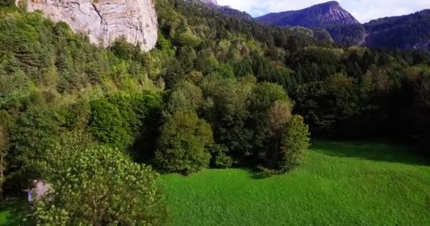Αεροφωτογραφία του γραφική ορεινή κοιλάδα στην εποχή πτώσης (θέα στο δάσος) — Αρχείο Βίντεο