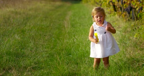 Hermosa niña de unos dos años inmerso en la naturaleza, vestido limpio tratar de hacer — Vídeos de Stock