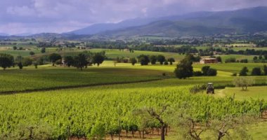 Slow motion of a tractor passing on countryside road between the vineyard fields (scenic hills valley view)
