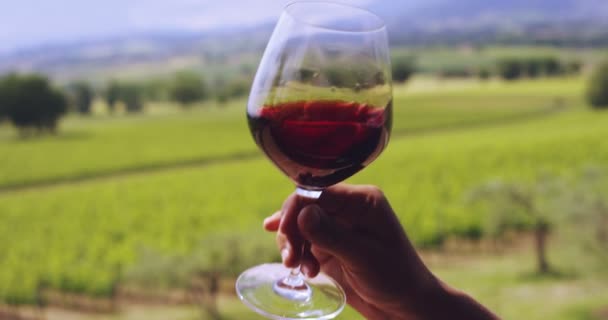 Zeitlupe Makro-Stillleben von Rotwein in transparentem Glas gegossen isoliert auf malerischem panoramischen Weinberg Hintergrund (Nahaufnahme) — Stockvideo