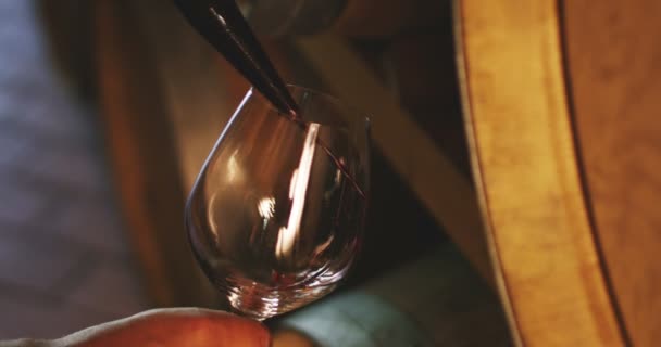 La main d'un sommelier expert broche du grand et vieux vin tandis qu'en arrière-plan les tonneaux qu'ils vieillissent au fil du temps — Video