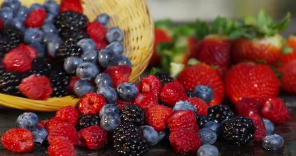 Super slow motion Mano de un joven agricultor y agitar controla el lemopn con una composición tradicional, y en el fondo el campo italiano en 4k — Vídeo de stock