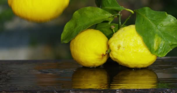 Super rallentatore Mano di un giovane agricoltore e agitazione controlla il limoncello con una composizione tradizionale, e sullo sfondo la campagna italiana in 4k — Video Stock