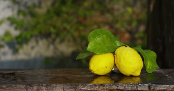 Super slow motion Mano de un joven agricultor y agitar controla el lemopn con una composición tradicional, y en el fondo el campo italiano en 4k — Vídeos de Stock