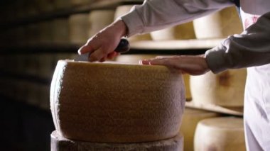 Süper ağır çekim orta yaşlı peynir maker'ın İtalyan Parmesan peynir/kahvaltilari Reggiano kalite kontrol için tekerlek keser