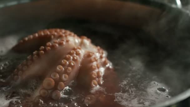 Tenedor de un chef profesional entrenado sosteniendo un pulpo joven que se cocina en medio de los sabores italianos más típicos — Vídeo de stock