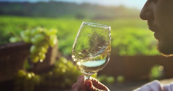 Sommelier contenente un bicchiere di vino — Video Stock