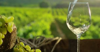 sommelier cam içinde beyaz şarap dökme