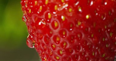 su damlama ile çilek