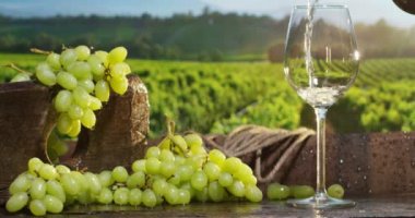 sommelier cam içinde beyaz şarap dökme