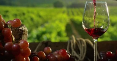 kırmızı şarap cam dökme sommelier
