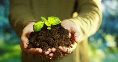 eller bir bitki mevcut