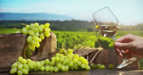 Sommelier sosteniendo vaso de vino — Vídeos de Stock