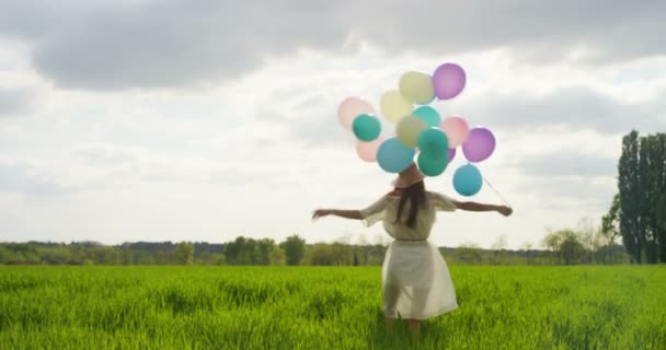 Donna con palloncini nel prato — Video Stock