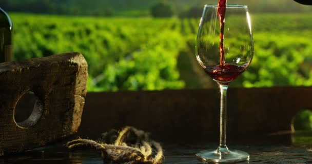 Сомелье наливает красное вино в бокал — стоковое видео
