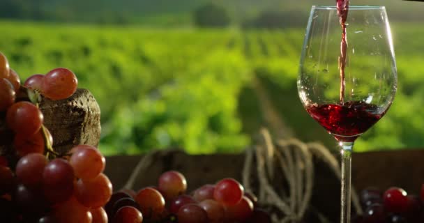 グラスに赤ワインを注ぐソムリエ — ストック動画