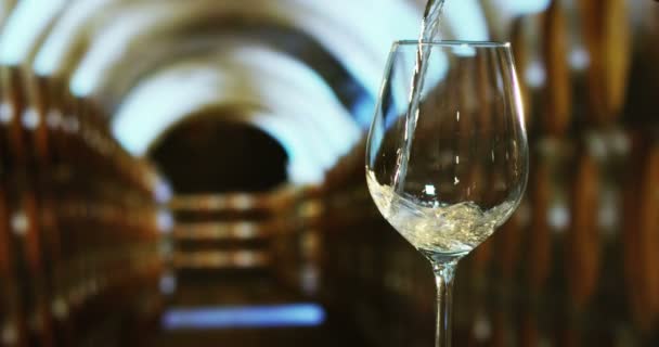 Sommelier versant du vin blanc dans un verre — Video