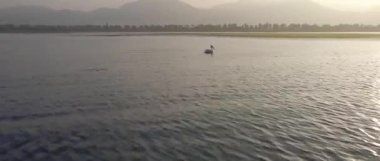 Pelikan gün batımında gölde yüzer.