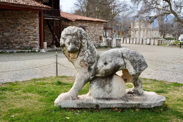 Antik şehirde oyulmuş bir aslan. Aphrodisias, Aydın, Türkiye, Şubat 2025. 