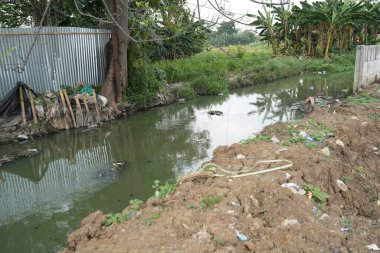 Küçük gölet parkta.