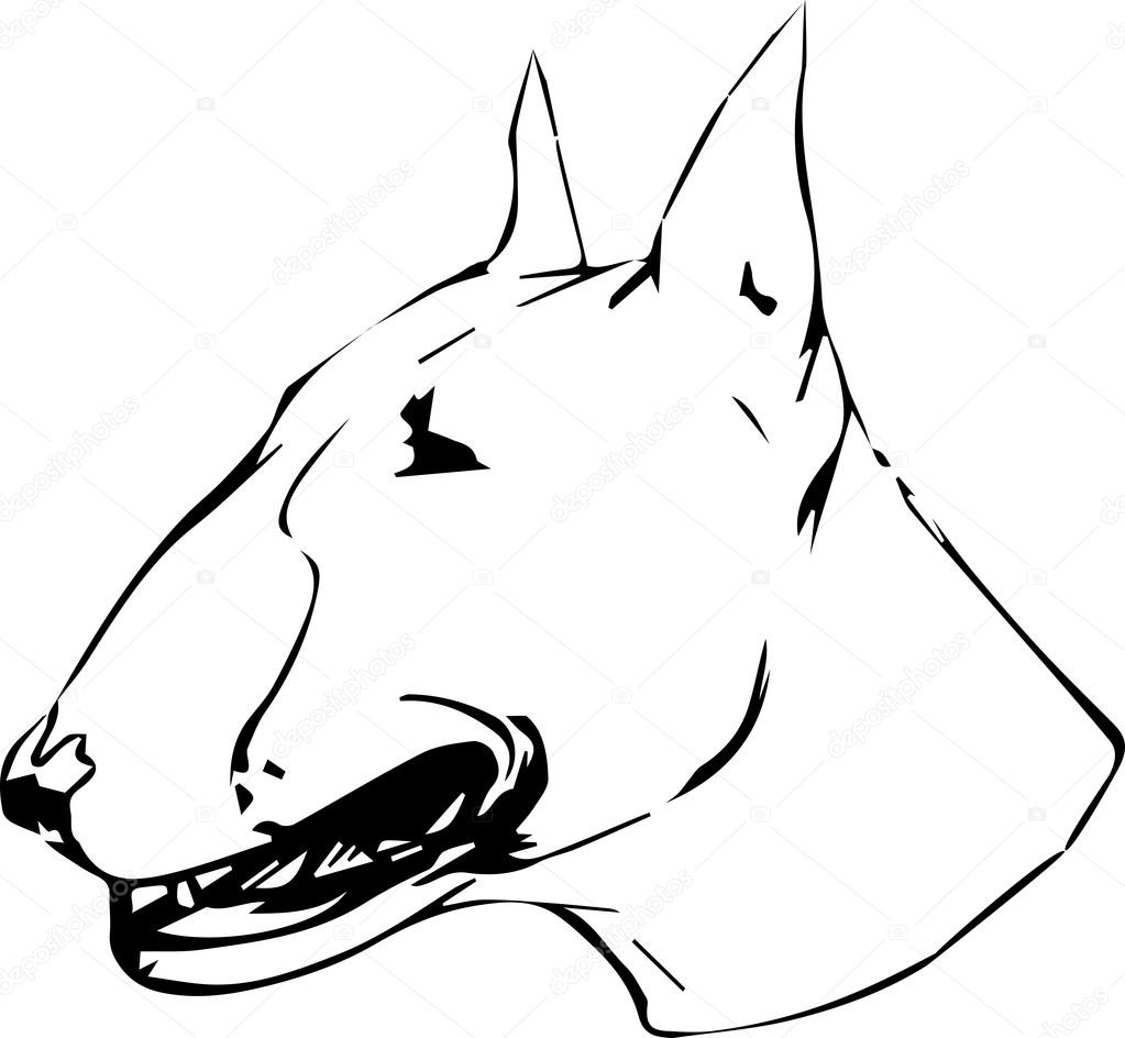 Graphic vector illustration of Bull Terrier. Isolated Vector Dog Portrait.