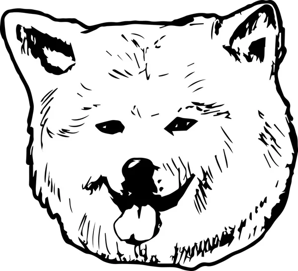 Grafisk vektor illustration av Akita Inu hund. Isolerad vektor hund porträtt. — Stock vektor