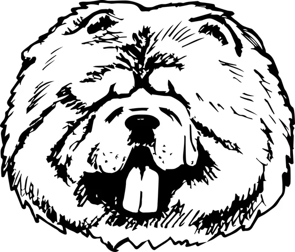 Grafische vector illustratie van Chow Chow hond. Geïsoleerde vector hond portret. — Stockvector