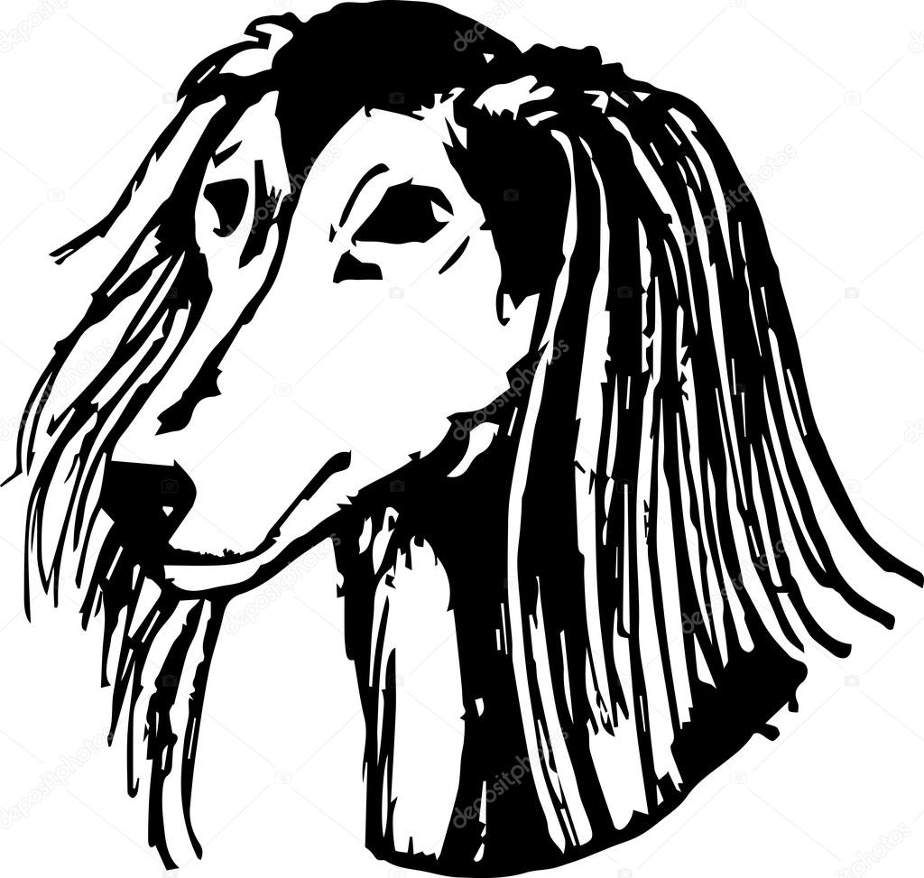 Greyhound Dog Portrait. Graphic Pencil Illustration of Saluki. Hand Drawn Vector Dog Head on white background. Hand Drawn art sketch of Saluki Breed.