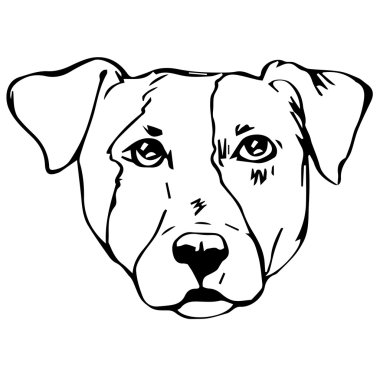 Jack Russell Terrier Köpek Grafik vektör illüstrasyon. İzole Vektör Köpek Portresi.