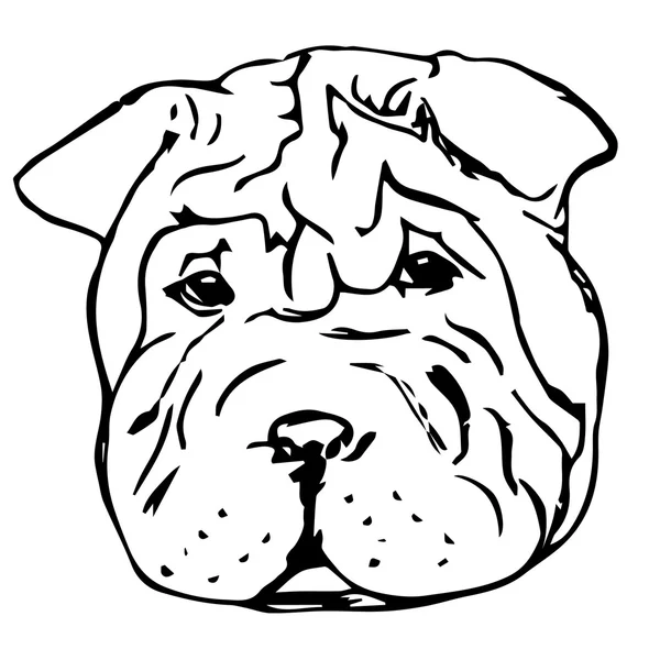 Graphic vector illustration of Shar Pei Dog. Isolated Vector Dog Portrait. — Stock Vector