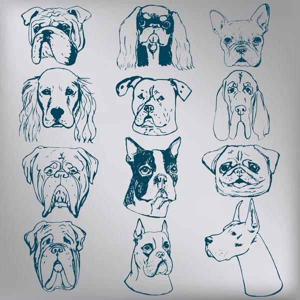  Logo için öğeleri. Vektör köpekler kümesi.