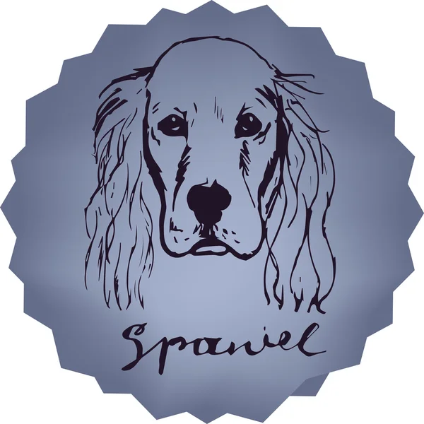 Spaniela. Cocker Spaniel T-shirt druk. literowanie nazwy rasy. — Wektor stockowy