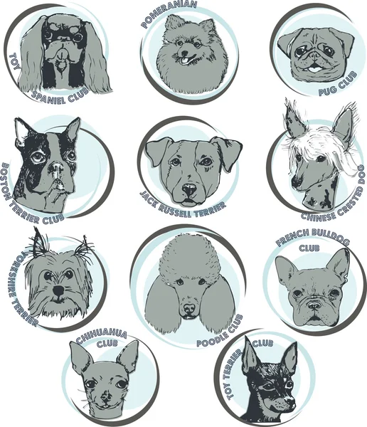 Vektör küçük köpek. Köpek kulüpleri için küme logoları. Vektör köpekler