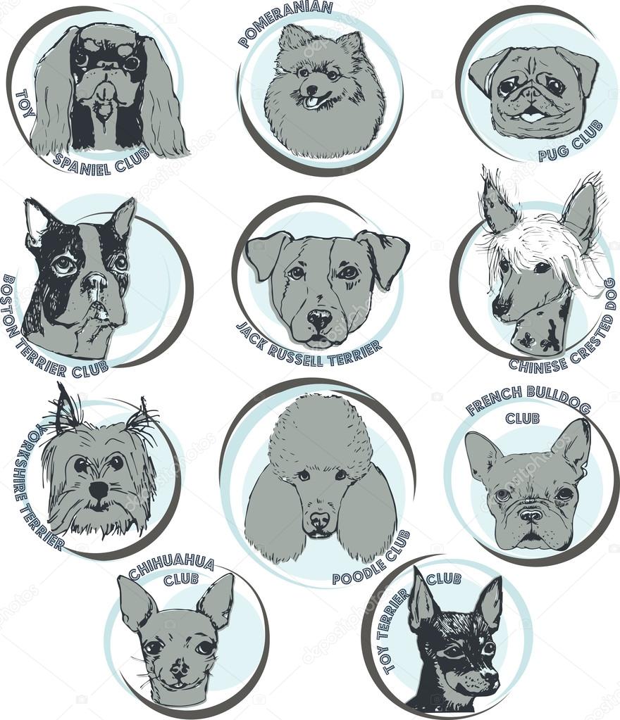 Small dog breeds. Hand Drawn dog club logos. Purebred dogs in vector.