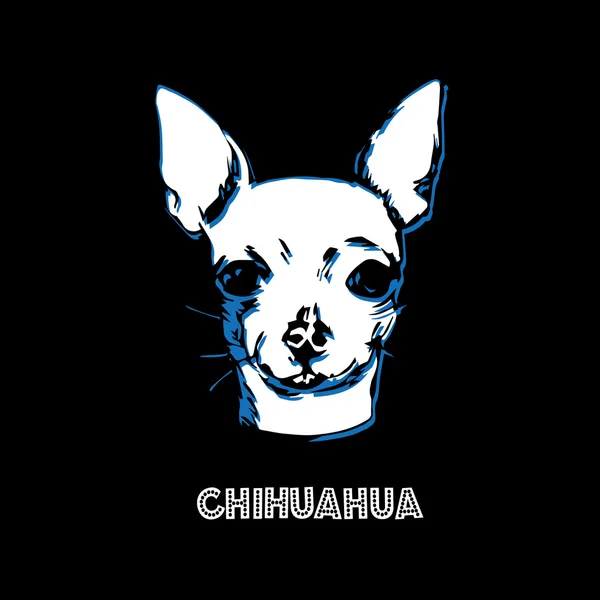 Chihuahua na białym tle na czarnym tle. — Wektor stockowy