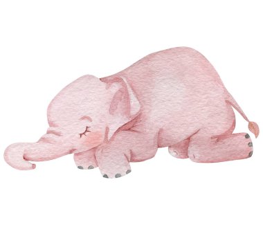 Beyaz arka planda elle boyanmış pembe bir fil. Tatlı bebek fil uyuyan suluboya çizimi. Çocuk resimleme karakteri.