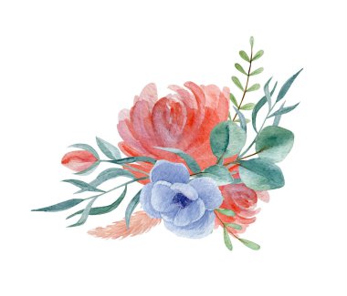 Anemon çiçekli suluboya çizimi. Beyaz arka planda izole edilmiş suluboya botanik bileşimi. Düğün davetiyesi tasarımı.