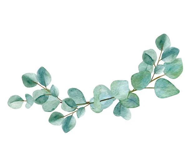 Eucalyptus Branches Délicates Aquarelle Illustration Eucalyptus Laisse Bordure Isolée Sur — Photo