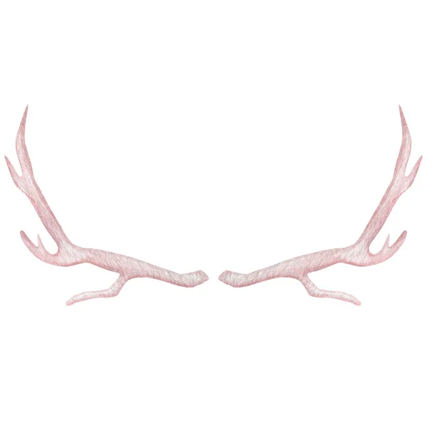 Chifres Antler Isolados Fundo Branco Pastel Chifres Aquarela Ilustração — Fotografia de Stock